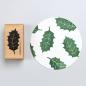 Preview: 5x Stempel | Ilexblatt