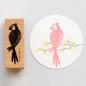 Preview: 5x Stamp | Parrot