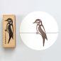 Preview: 5x Stempel | Specht