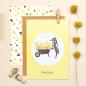 Preview: 5x Stempel | Specht