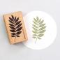 Preview: 5x Stempel | Eschenblatt XL