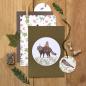 Preview: 5x Stempel | Waschbär