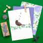 Preview: 5x Stempel | Amsel