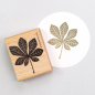 Preview: 5x Stempel | Kastanienblatt XL