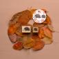Preview: 5x Stempel | Igel