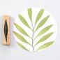 Preview: 5x Stempel | Bambusblatt