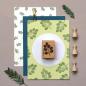 Preview: 12x Stempel | Olivenzweig