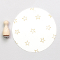 Preview: 12x Stempel | Stern outline mini
