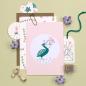 Preview: 5 Postcards | Dot Soft Cottony Candy