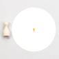 Preview: 12x Stempel | Karottennase mini