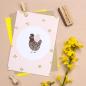 Preview: 5 Postcards | Dot Soft Cottony Candy