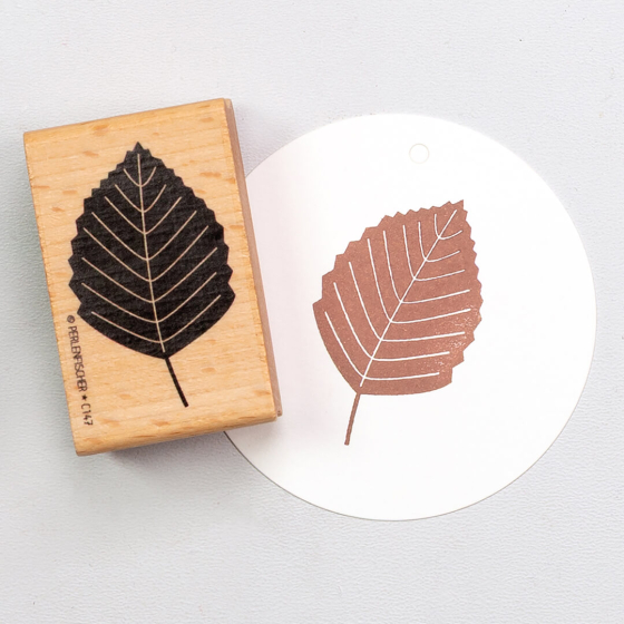 5x Stempel | Buchenblatt XL