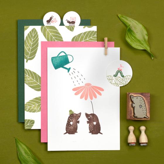 5x Stamp | Coneflower