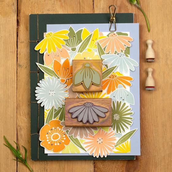 5x Stamp | Coneflower